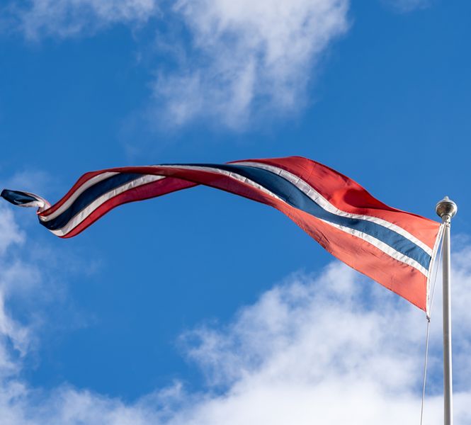 Hovedbilde Norsk vimpel til 7-8 meters flaggstang - 300 cm